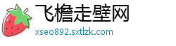 飞檐走壁网